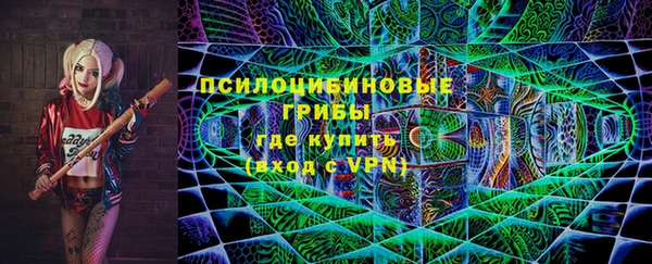 гидра Алексин