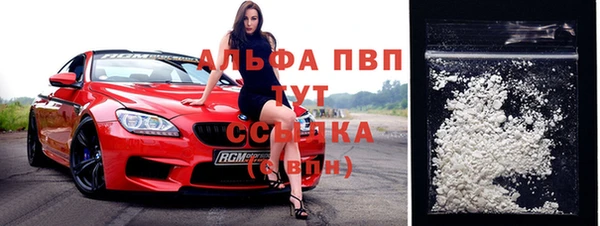 гидра Алексин